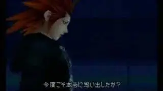Stand My Ground - KH AMV