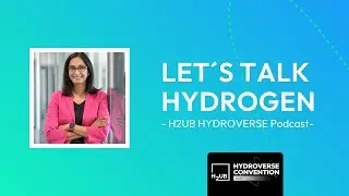 Wishful thinking vs. economic reality &ndash; Does the hydrogen strategy need a reset?
