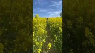 Spring in Denmark