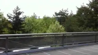 Miho Museum