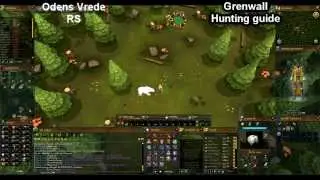 Grenwall hunting guide (Nyriki's hunting ground)