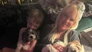 DOG ON MY LAP (pgs best mix) Peter G (c)2020