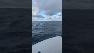 To be successful, you must endure the waves 🌊 successful hunt 🤙
