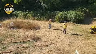 Blackberry Bush Takeover! 🌿 Field Transformed in Under 1 Hour | Mow Bro California