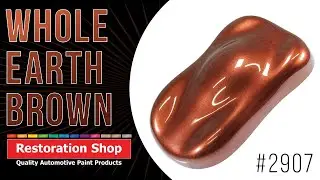 Restoration Shop | #2907 - Whole Earth Brown