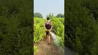 👨🏻&zwj;🌾#farming #motivation #song #kisan #viralshort #faujilyfstyle #feedshorts #spry #faujidiaries
