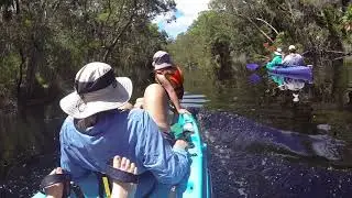2018 Harry's Hut QLD