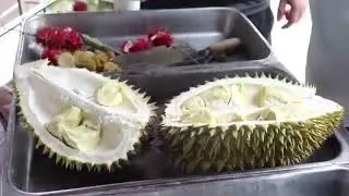 Durian Festival 2018 @ SDCC