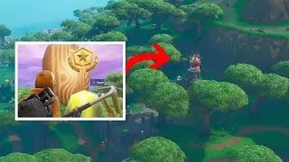Week 9 Secret Battle Star Revealed (Ready Or Not...) - Fortnite Battle Royale