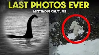 6 Real Photo Of MYTHICAL Creatures | Myst Records 