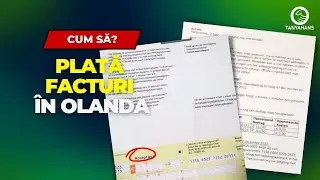 Cum plătim FACTURA de la FISC în OLANDA - Exemplu îndemnizația de sănătate