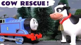 Thomas The Toy Train Cow Rescue Story