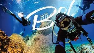SCUBA DIVING | BOL, BRAČ (Cro) | September 2025