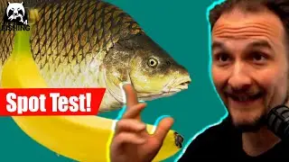 Russian Fishing 4 - Old Burg - Carp and Black Carp Spot test