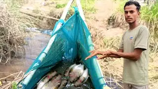 I Am Going Fishing In The River | Fishing Videos In India Village | Fish Video ?