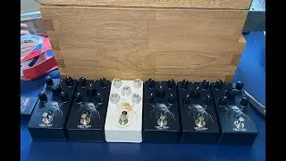 Fuzz Imp Live Pedal Building and More!