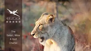 Safari, Wine and Golf Charter