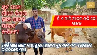 ଓଡ଼ିଶାରେ ଗୋପାଳନ କିପରି ଆରମ୍ଭ କରିବେ | Dairy Farm In Odisha | E Farming Odisha / agritechno odisha