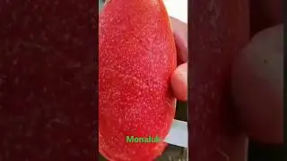 #shorts #fruit #fruitlover