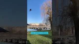 Він завжди поруч