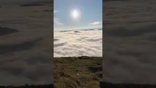 AMAZING moment above the clouds while hiking in Switzerland! #clouds #switzerland #hiking