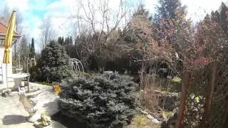 Mobius Scope Cam Teszt