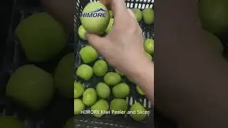 Kiwi Peeler and Slicer Machine
