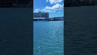 Mauritius country (Port Louis) ka best video 🇲🇺मॉरीशस देश (पोर्ट लुइस) का सबसे अच्छा वीडियो 🇲🇺