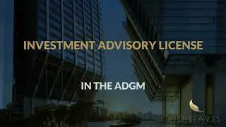 Category 4 Investment Advisory License in the ADGM - Latest Updated Information - 10 Leaves