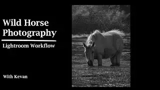 Lightroom Workflow - Wild Horse Photography - Arizona Lower Salt River Paddle Board