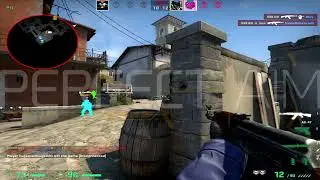 CS:GO Chams | PerfectAim