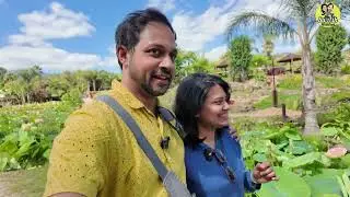 Blue Lotus Water Garden 💙🌸 | Warburton | Nature Walk | Malayalam Vlog