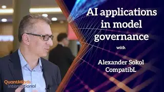 Large language models in model governance and document comprehension