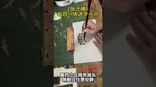 《张迁碑》每日一练进步一点 #汉隶 #感情 #书法家 #人生感悟
