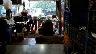 Timelapse 2_.  #graduate #youtube #vegetables #tomato #reaction 