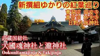 東京 武蔵府中の歴史『紅葉の大國魂神社と瀧神社』新選組のふるさと日野八坂神社