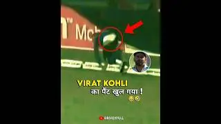 Top Rare Moments in Cricket 🤯 #shorts #sg