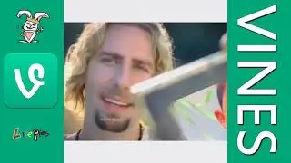 Try Not To Laugh At These Vines [the foxy llama]