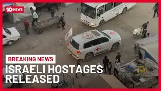 Hamas Releases First Seven Israeli Hostages To Red Cross In Gaza | 10 News