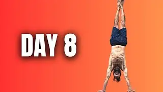 Day 8: Show Up for the Life You Want (Follow Along)