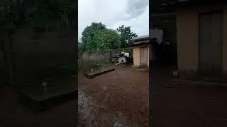 THE RAINY 🌧 SEASON OF SIERRA LEONE 🇸🇱 RAIN RAIN RAIN 🌧 #shorts