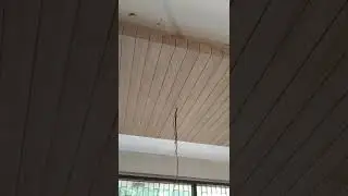#Wooden false ceiling#Veneer ceiling#Teak veneer ceiling#shortsvideo #shorts #Polish finish ceiling
