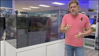 AQUASCAPES, CORAL FOODS, NEW FISH, AND MORE! | WEEKLY UPDATE #aquarium #fishybusiness #fishstore