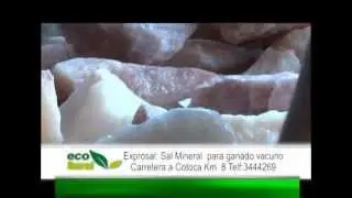 Eco Rural Exprosal, sal mineral para ganado