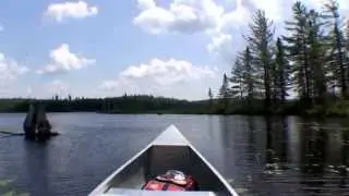 Tom Thomson Canoe Lake 2014 Follow Your Bliss B-52's