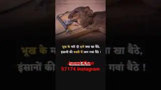 #10dayschallenge #jkstar #algrow #video #best