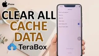 How to Clear All Cache Data In Terabox On iPhone