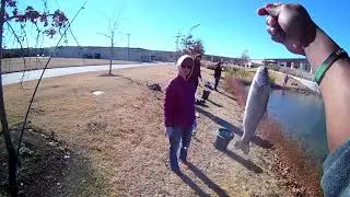 Limiting out on stocked trout
