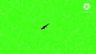 Crocodile 🐊 attack green screen animation cartoon video#greenscreen crocodile attack