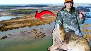 Охота на экзотических оленей в соленом болоте
